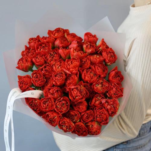 Red Tulips - 49 тюльпанов