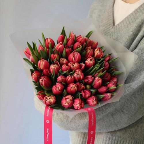 Bright-pink Tulips - 49 тюльпанов 