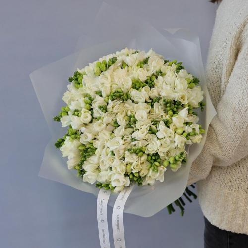 White Freesia -  99 фрезий