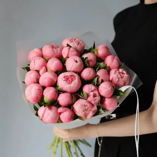 Salmon Peony -  25 пионов 