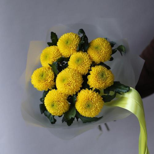 Yellow Chrysanthemum - 9 хризантем