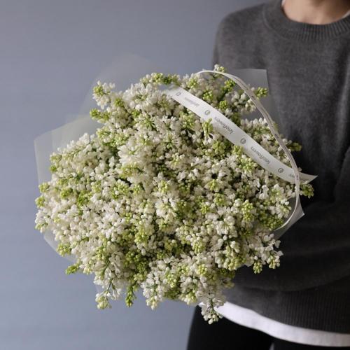 White Lilac -  29 веток сирени 