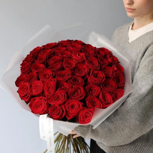 Red roses -  49 роз