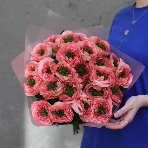 Pink Monster garden Roses -  25 роз 