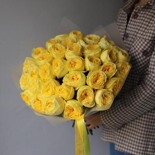 Catalina garden roses -  35 роз