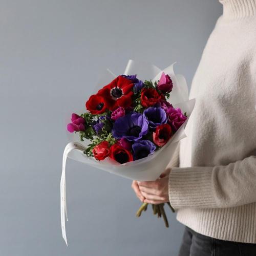 Mixed color Anemone -  19 анемон 