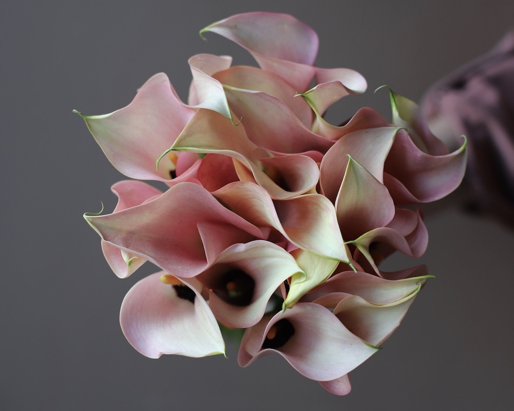 Букет невесты из калл.jpeg