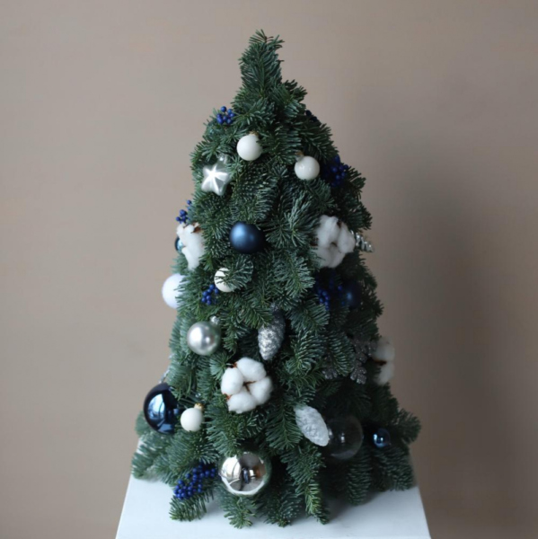 Christmas Tree 'Blue frost' - 55 см