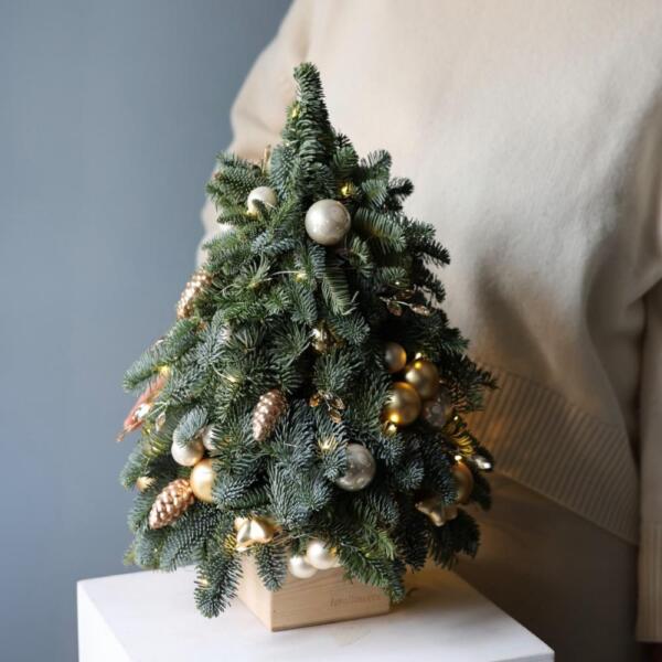 Mini Christmas Tree 'Champagne splashes'