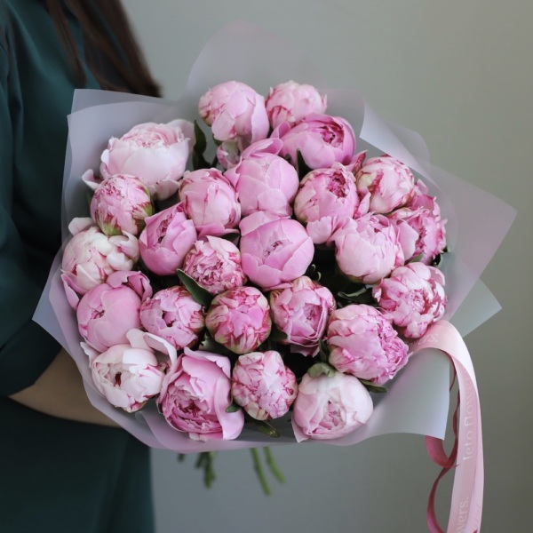 Pink Peony - 25 пионов