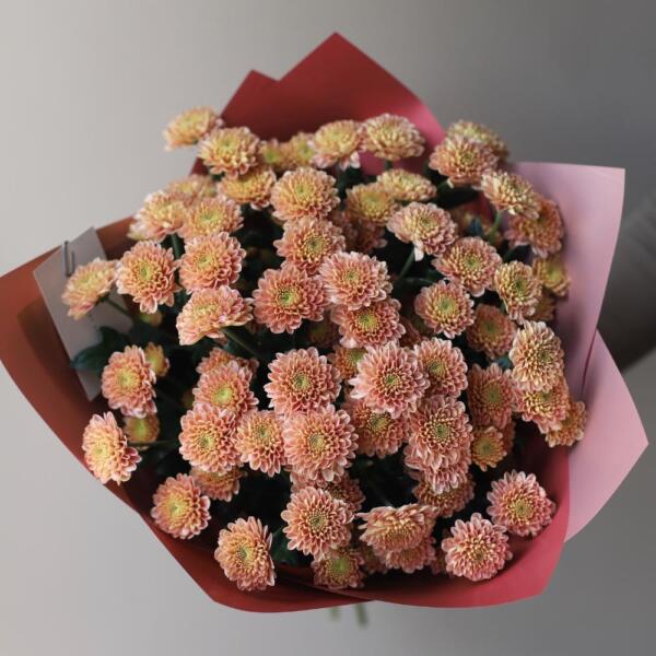 Spray Chrysanthemum - 15 кустовых хризантем