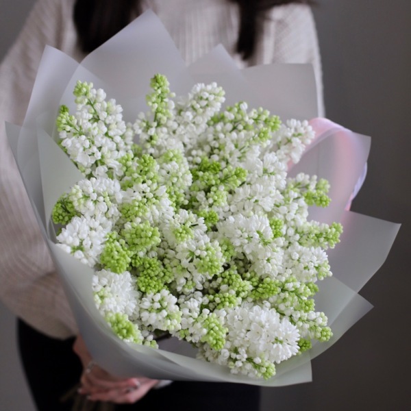 White Lilac - 9 веток сирени