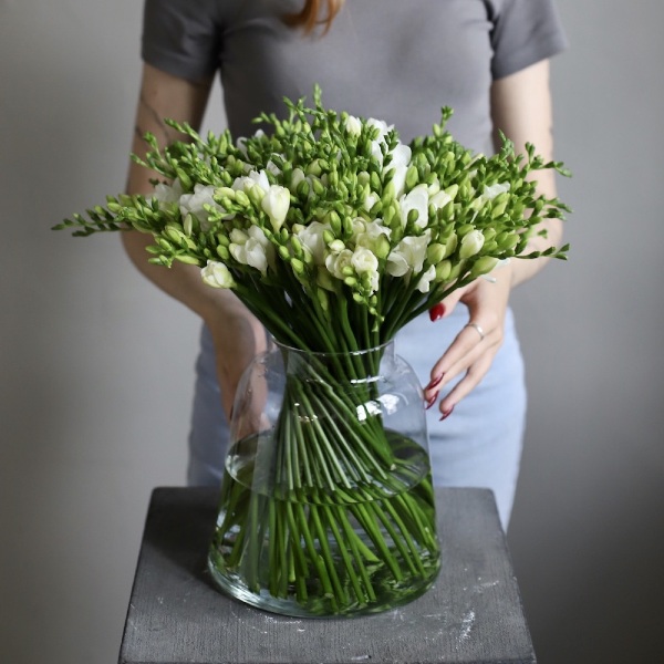 Freesias in a vase - 99 фрезий 