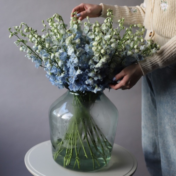 Delphinium in a vase - 39 дельфиниумов  (ваза может отличаться)
