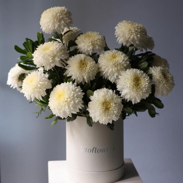 Chrysanthemum in a hat box -  Размер M