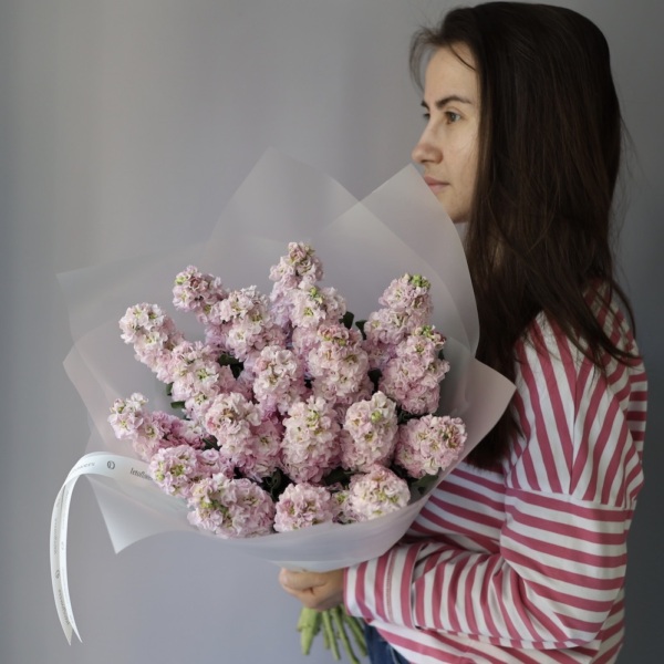 Pink Stock -  19 маттиол 