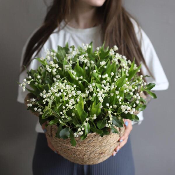 Lily of the Valley in a basket - 75 ландышей