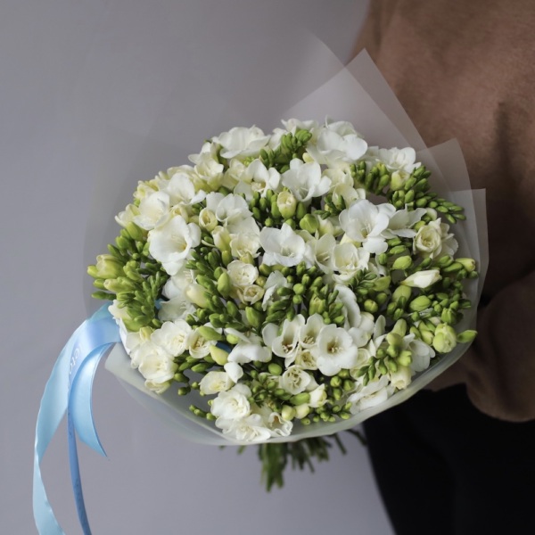 White Freesia - 75 фрезий