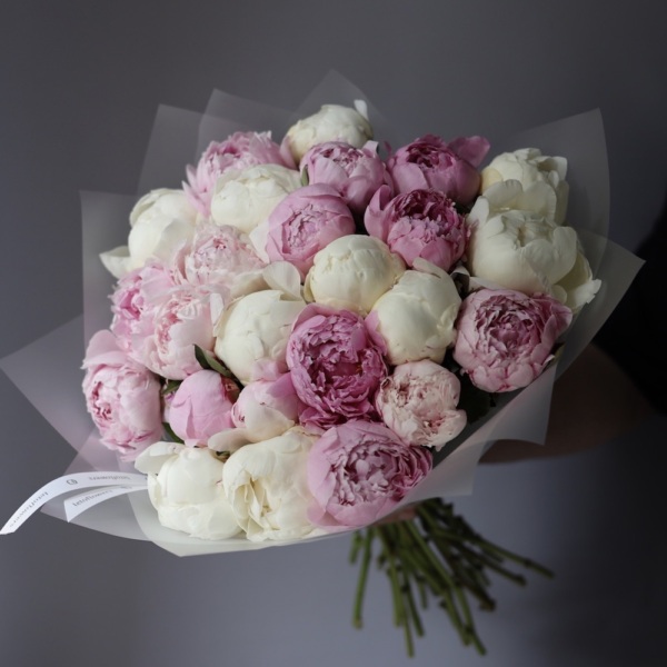 Mixed color Peony - 25 пионов 