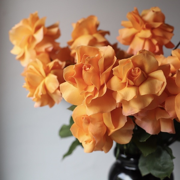 Bouquet of roses "Orange punch" in a vase