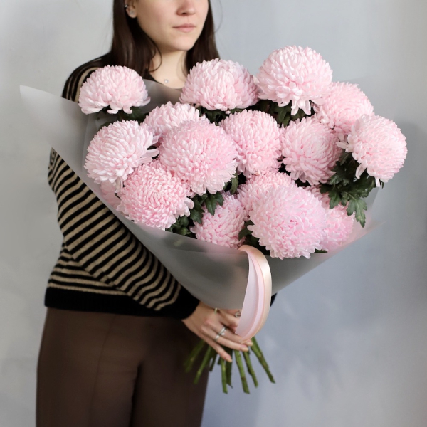 Large pink Chrysanthemum - 19 хризантем