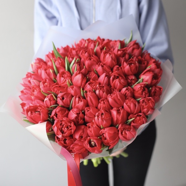 Red Tulips Spitfire - 75 тюльпанов