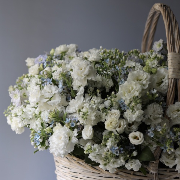 White Signature basket - Размер между 5XL и 6XL