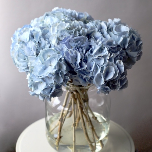 Colombian Hydrangeas in a vase - 15 гортензий (ваза может отличаться)