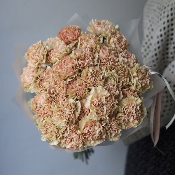 Caramel Carnations - 29 гвоздик