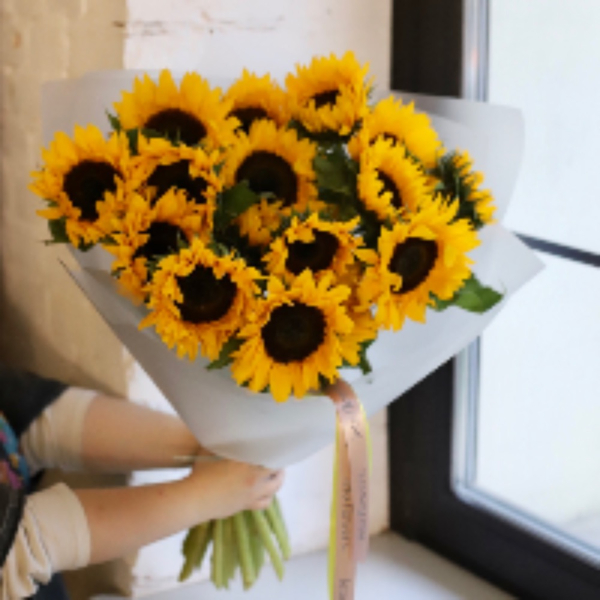 Sunflower - 19 подсолнухов