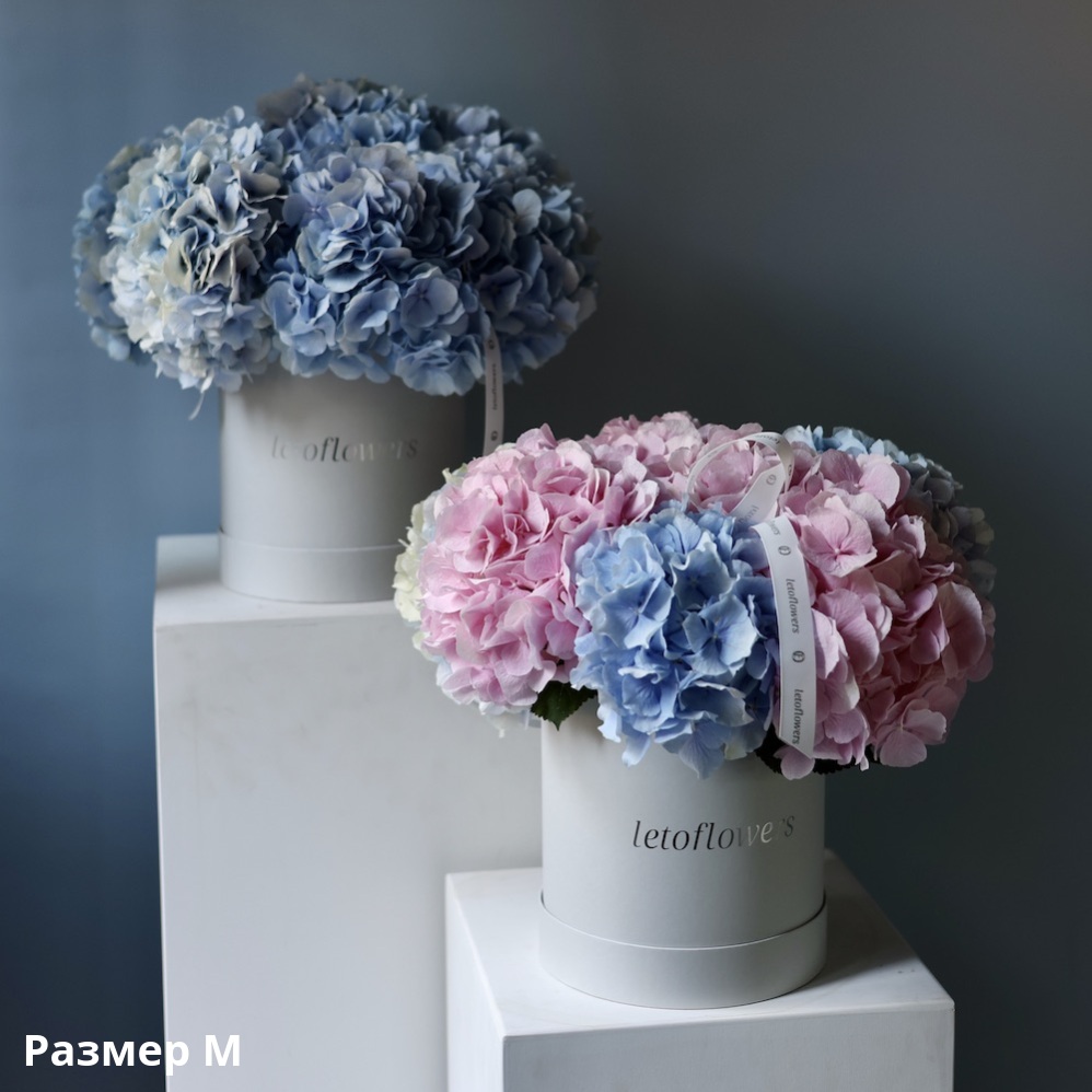 Hydrangeas in a hat box Hydrangeas in a hat box -  Размер M