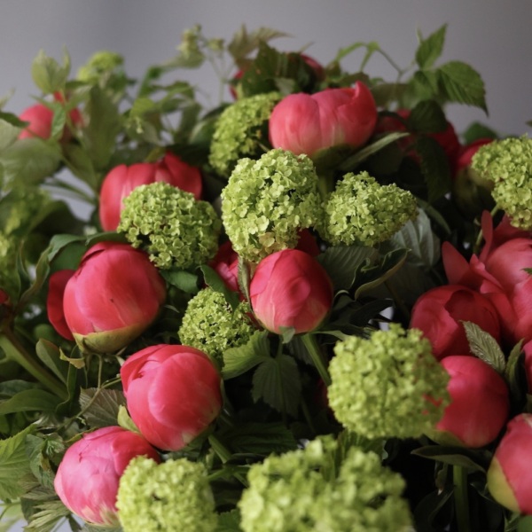 Peonies with Viburnum