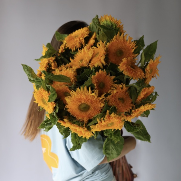 Sunflower -  19 подсолнухов 