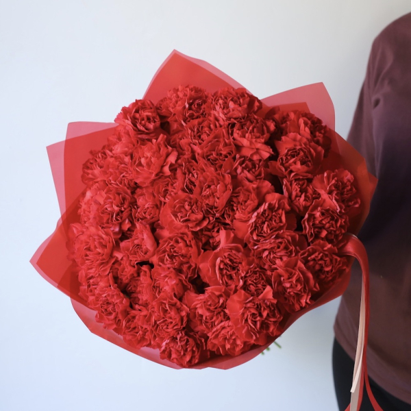 Red carnations - 59 гвоздик
