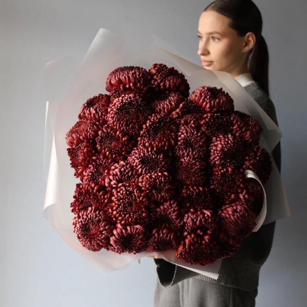 Chocolate Chrysanthemum - 39 хризантем