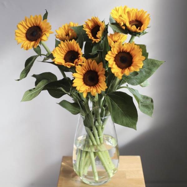 Sunflowers in a vase - 9 подсолнухов 