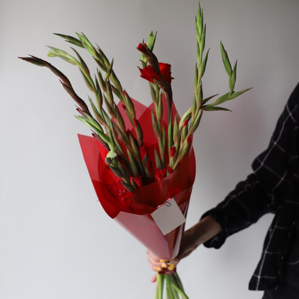 Red Gladiolus - 9 гладиолусов