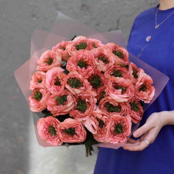 Pink Monster garden Roses - 25 роз