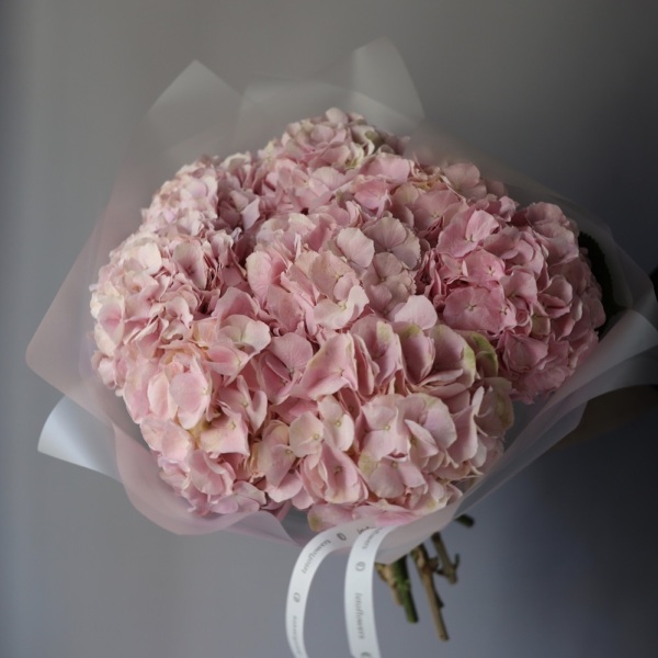 Pink Hydrangea -  9 гортензий 