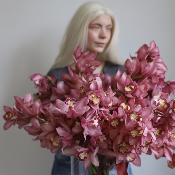 Cymbidium Orchid in a vase -  15 орхидей  