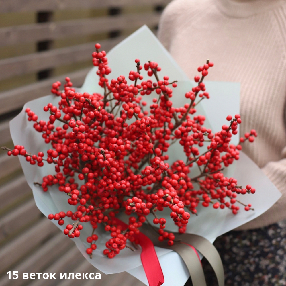 Ilex Ilex -  15 веток илекса
