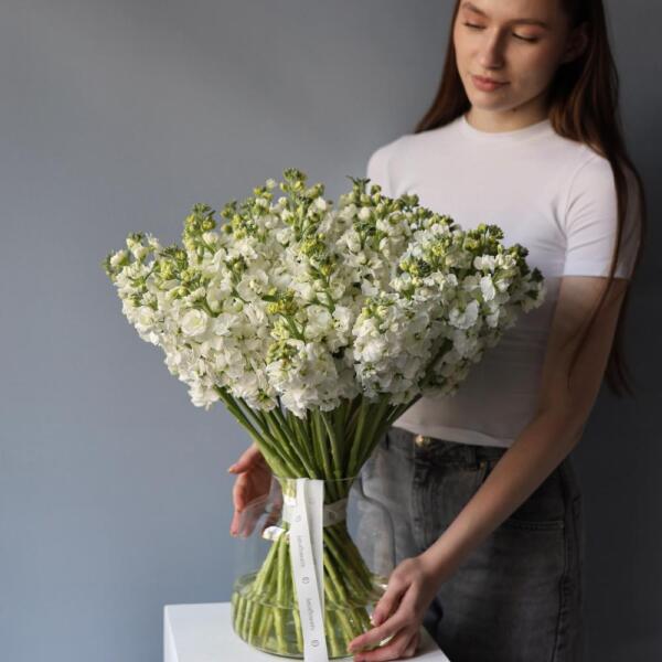 Spray Stock in a vase - 39 маттиол
