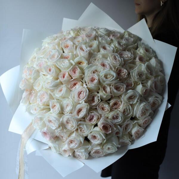 White Ohara Rose - 101 роз