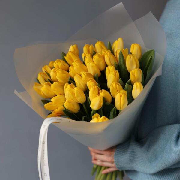 Yellow Tulips - 49 тюльпанов
