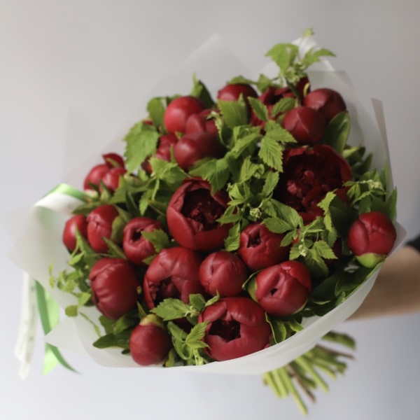 Winy Peony - 25 пионов с зеленью