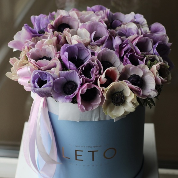 Anemones in a hatbox -  Размер M 