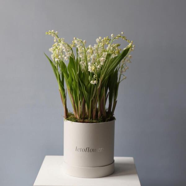 Lily of the Valley in a hat box - Размер S