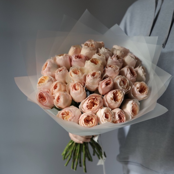 Juliet David Austin Rose -  23 розы 