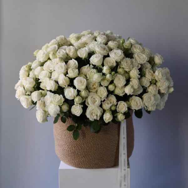 Spray Roses in a basket - Размер XL