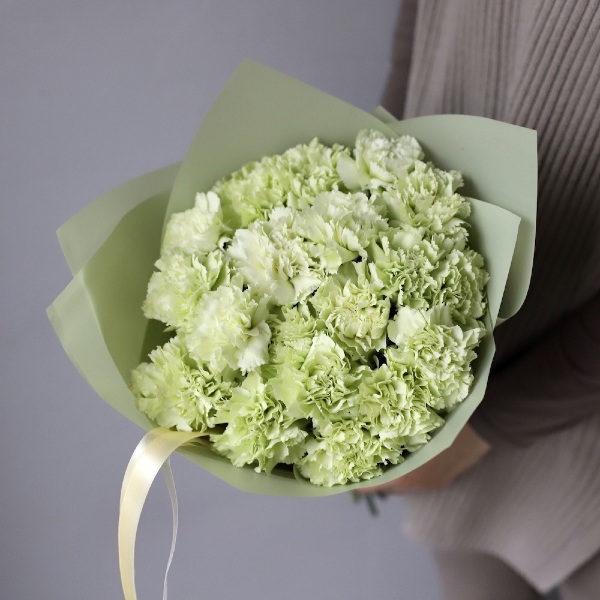 Green Carnations - 19 гвоздик
